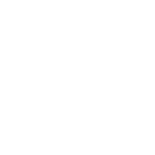 BINNENSTAD-LOGO